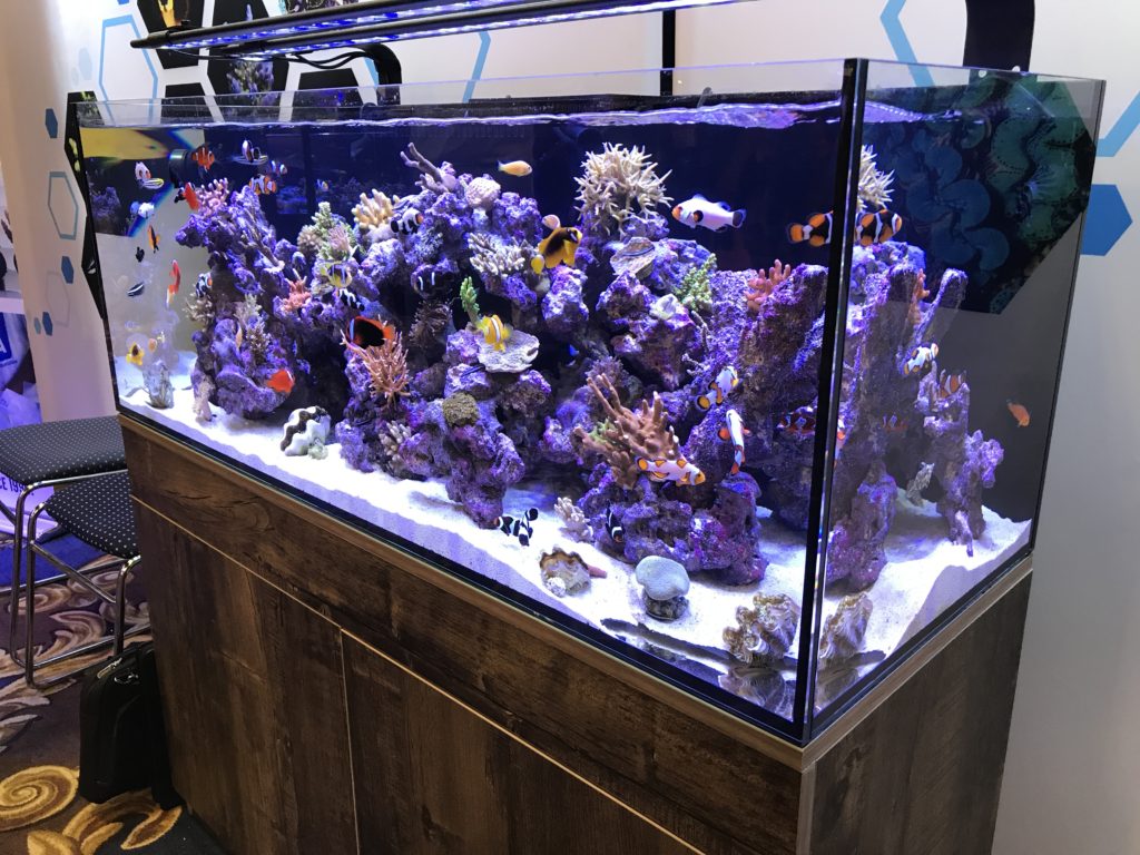 120 gallon saltwater fish tank with corals and live fish