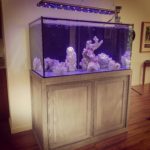 picture of 120 gallon aquarium on grey stand with led lights hanging over it