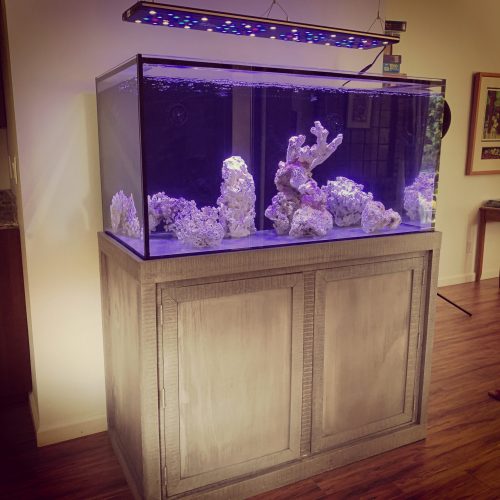 picture of 120 gallon aquarium on grey stand with led lights hanging over it