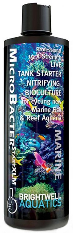 Brightwell-Aquatics-MicroBacter-Start-XLM-125ml-99